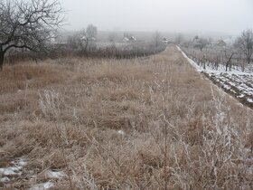 Predmet: pivničny domček a pozemky - 8