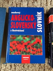 Anglicky jazyk, anglictina, slovnik, maturita - 8