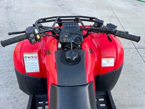 Honda Recon TRX 250 - 8