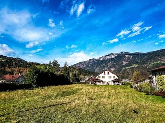 Alpen Haus Korutansko - 8