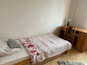 Fully furnished 4 room apartment in the City center for rent - 8