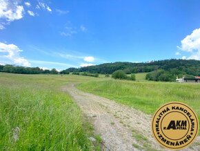 Pozemok na predaj, 13 237 m2  Slatinské Lazy, okres Detva - 8