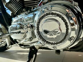 Harley-Davidson Sportster 1200 Custom - 8