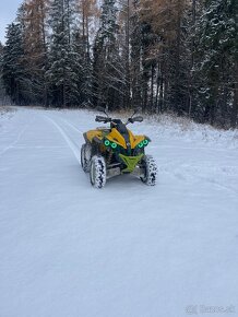 Can am renegade 800 - 8