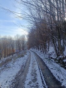 Pozemok Dunajov-Potoky na chov alebo pestovanie drevín - 8