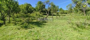 HALO reality - Predaj, rekreačný pozemok Krupina, iba 7 €/m2 - 8