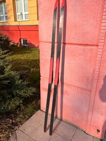 Bežky Rossignol Delta COMP R-SKIN 186cm - (30-50kg) - 8