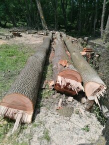 Rizikové orezávanie a výrub stromov, kosenie údržba záhrad - 8