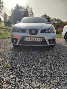 Ibiza Cupra GT+ 330PS, 2008 - 8