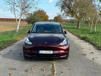 Tesla Model Y 75kWh Performance AWD - 8