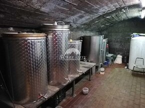 LEN U NÁS Predám - Viničný dom s vinicou a s orechovou sa - 8