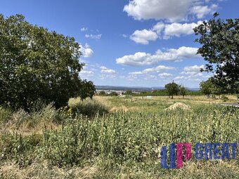 Predaj pozemku 2573 m2 na výstavbu vinohrad. domu, SKALICA - 8