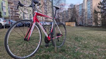 Trek Alpha 2.5 Ultegra - 8