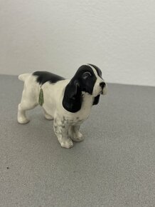 Anglický porcelán Beswick Anglický špringeršpaniel - 8