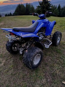 Yamaha Raptor 350 - 8