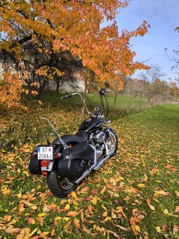 Harley davidson sporster XL 1200C - 8