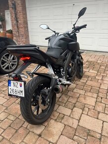 Yamaha MT 125 - 8