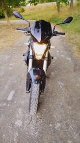 Benelli BN 302 - 8