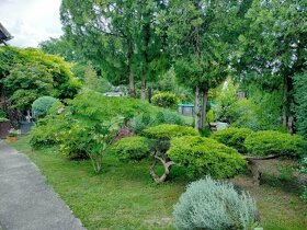 Rekreačná chata s krásnou záhradou a bazénom v Novej Stráži - 8