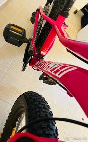 Specialized Hotrock 20 - 8