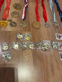 Medaile, plakety, vyznamenania, odznaky - 8