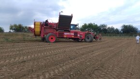 Grimme Varitron 270   (NONSTOP BUNKER) - 8