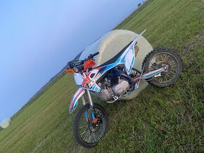 Pitbike Dorado dt155 - 8