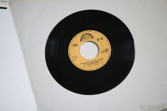 PREDÁM RÔZNE ZBERATELSKÉ LP PLATNE - 8