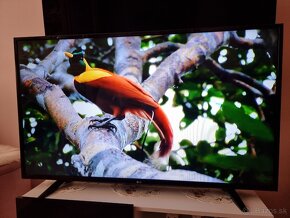 Predám LED TV LG 49LB5500-ZA Full HD - 9