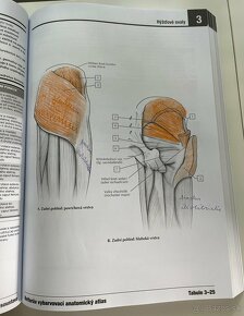 Netterov vyfarbovací anatomický atlas - 9