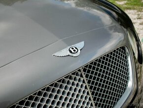 Bentley Continental GT Speed 6.0L W12 DOHC 48V TURBO, AT - 9