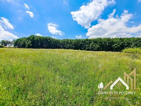 Veľkorysý, 2,5 ha pozemok v Krupine - časť Kopanice - 9