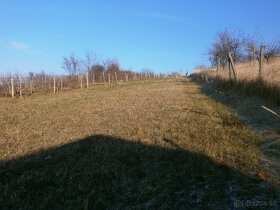 Dom-chalupa na letné,na celoročné bývanie s pozemkom,Levice, - 9