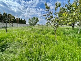 Na predaj vidiecky dom na veľkom pozemku Andovce - 9