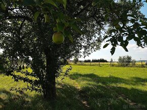 Na predaj stavebný pozemok, ulica Trnavská, obec Jablonica - 9