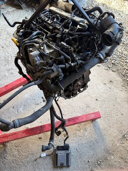 Motor 1.6tdi 77kw CHL octavia 3 - 9