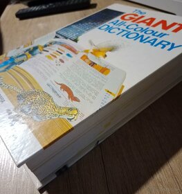 The Giant All-Colour Dictionary - 9