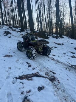 can am renegade 1000 - 9