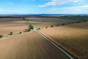 Orná pôda na predaj v obci Zvončín pri Trnave - 9