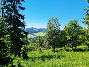 Veľká CHALUPA v nádhernom prostredí Kysúc s potencionálom, 1 - 9