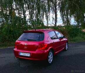 Peugeot 307 180 Platinum - 9