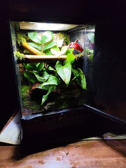 Terarium Exo terra - 9