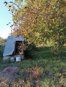 Letná kuchyňa s veľkým pozemkom a starým domom. - 9