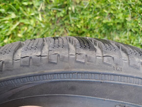 Nokian WR D3 225/45 R17 - 9