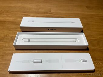 Apple Pencil (1st Generation) - 9