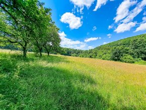 Veľkorysý, 2,5 ha pozemok v Krupine - časť Kopanice - 9