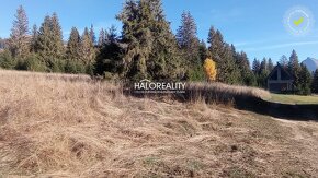 HALO reality - Predaj, rekreačný pozemok Pribylina - 9