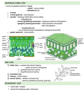 Fyzioterapia, medicína prijímačky KOMPLET - 9