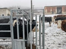 Všetko pre hospodárske zvieratá od výrobcu KOVOORAVA - 9