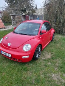 New beetle - 9